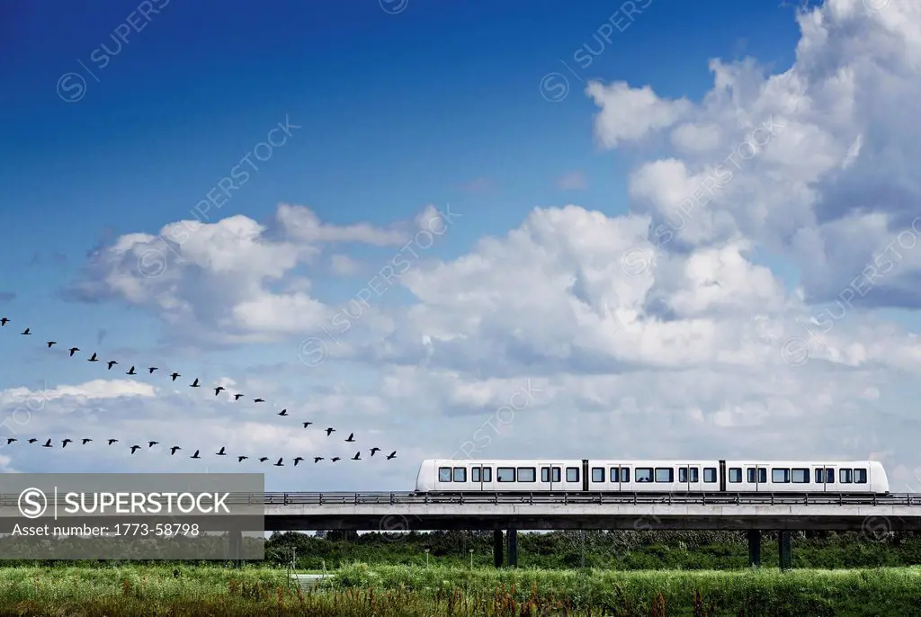 Birds flying in formation behind train