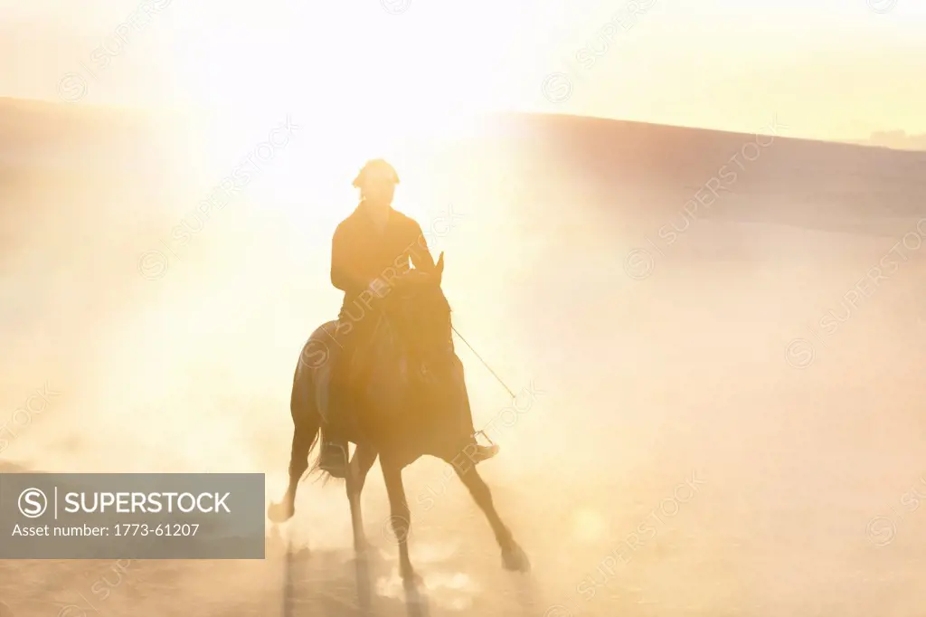 Silhouette of man riding horse in field