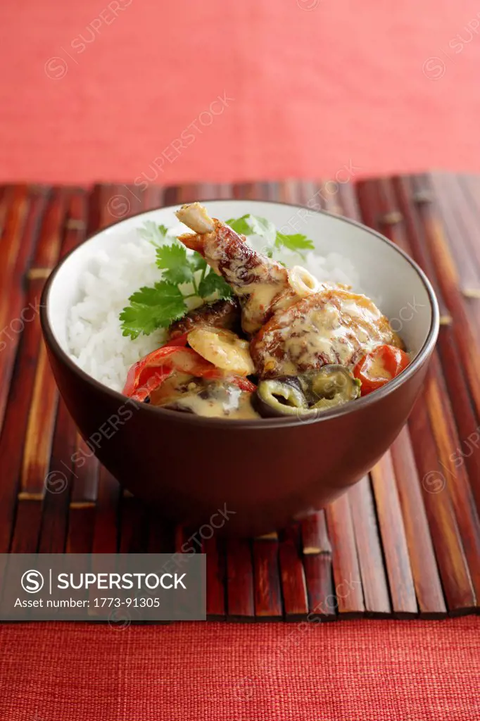 DuckRedCurry_0001, Duck Leg, Coriander, Jasmine Rice, Curry Sauce, Red Pepper, Cherry Tomato, Eggplant, Bamboo, Spring Onion