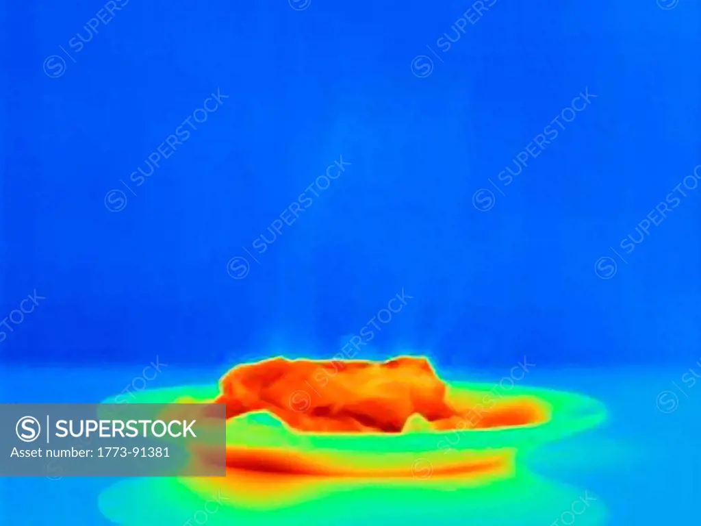 Thermal image of plate of hot food