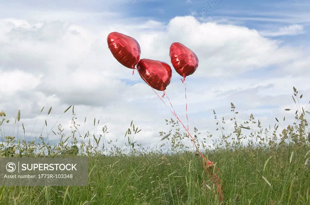 Heart shaped balloons in field