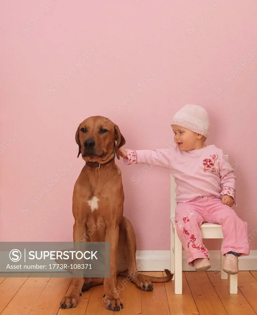 Female toddler stroking dog
