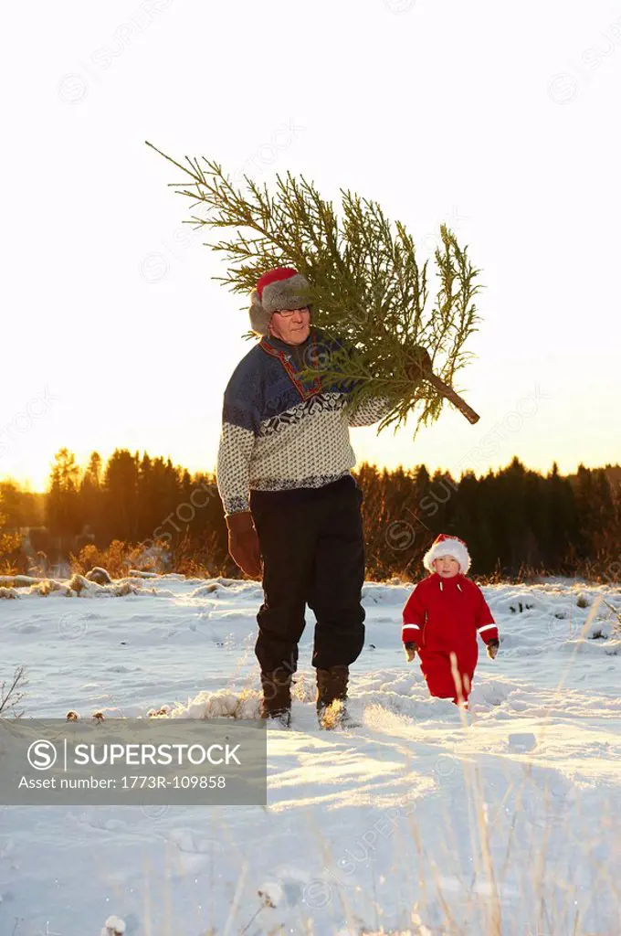Man and boy with Christmas tree in snow