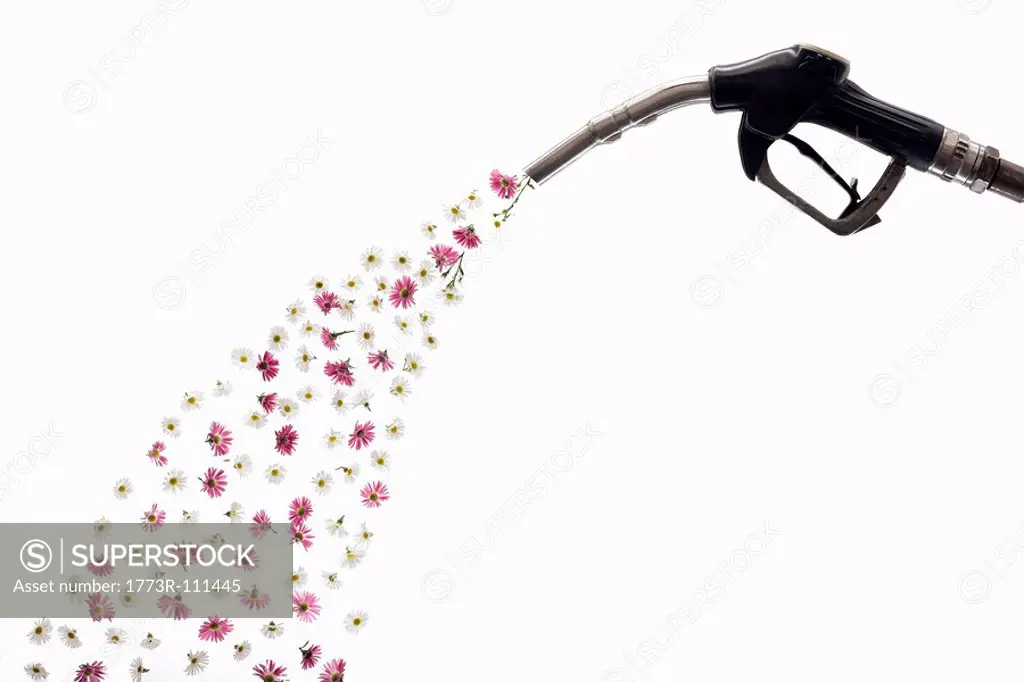 A petrol pump releasing flowers