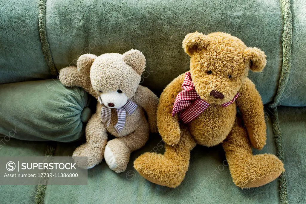 Two teddy bears sitting on sofa