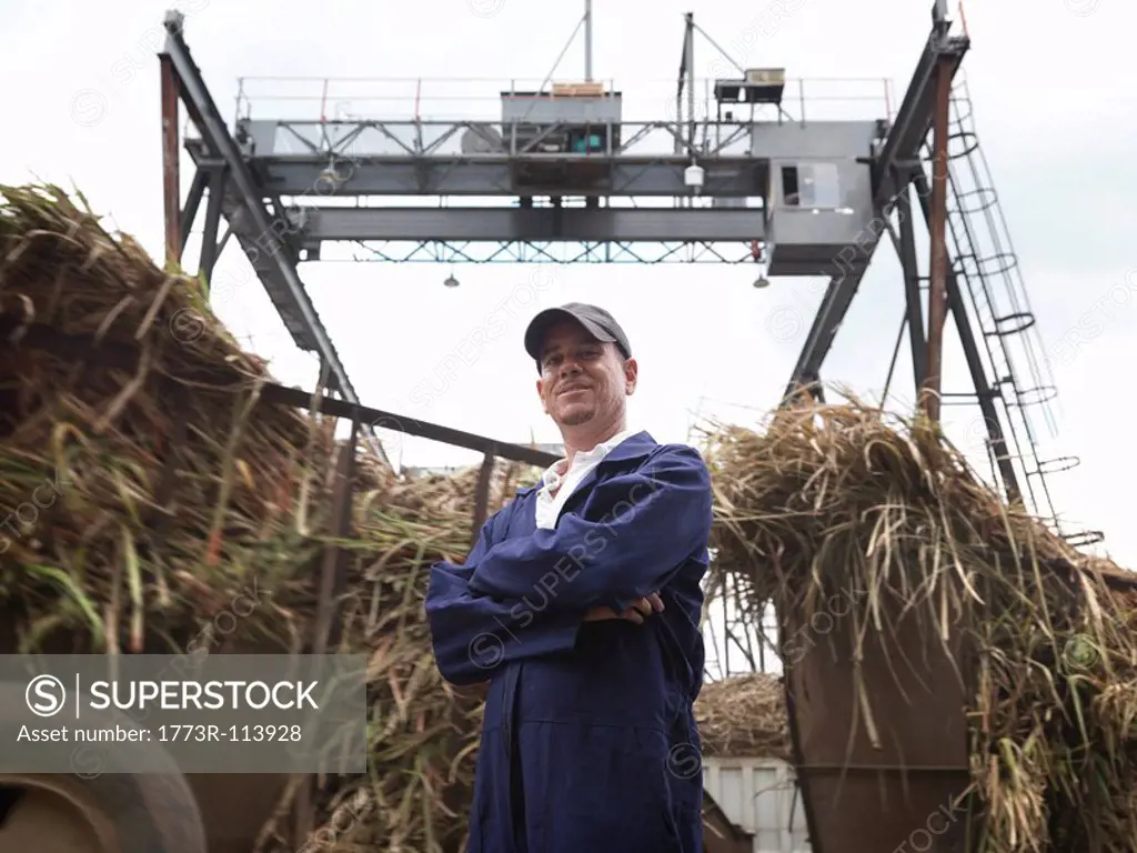 Sugar Cane Worker At Processing Plant