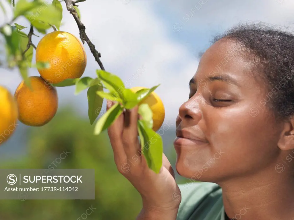 Woman Smelling Oranges On A Tree
