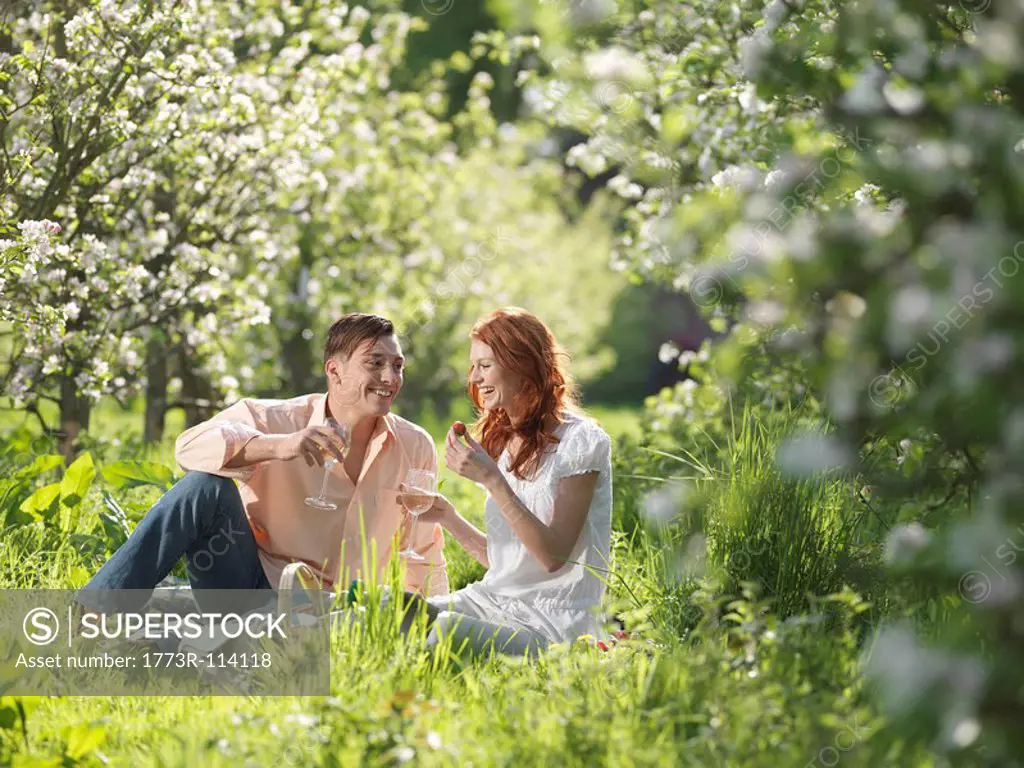 Couple Having Picnic In Orchard