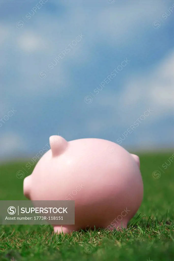 piggy bank in field