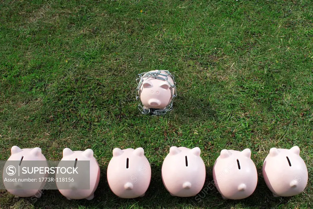 piggy bank in a line facing one