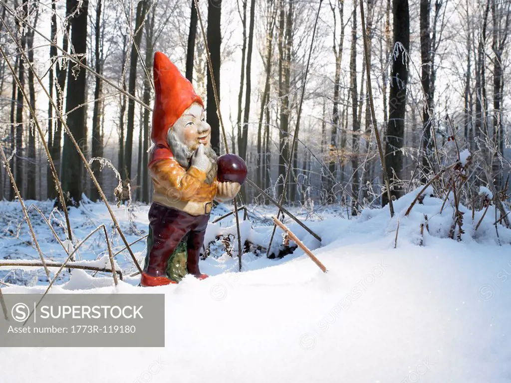Garden gnome in the woods, snow
