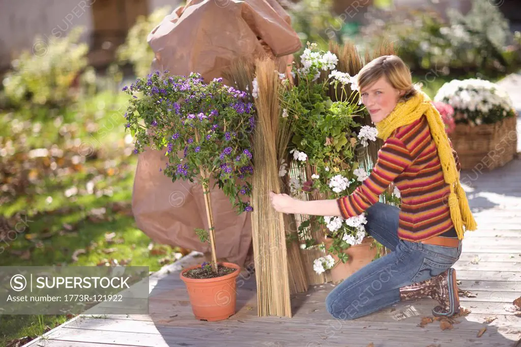 autumnal gardening