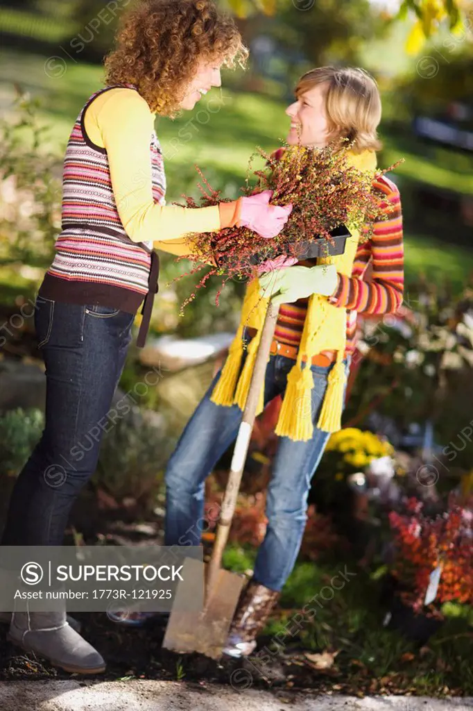 autumnal gardening