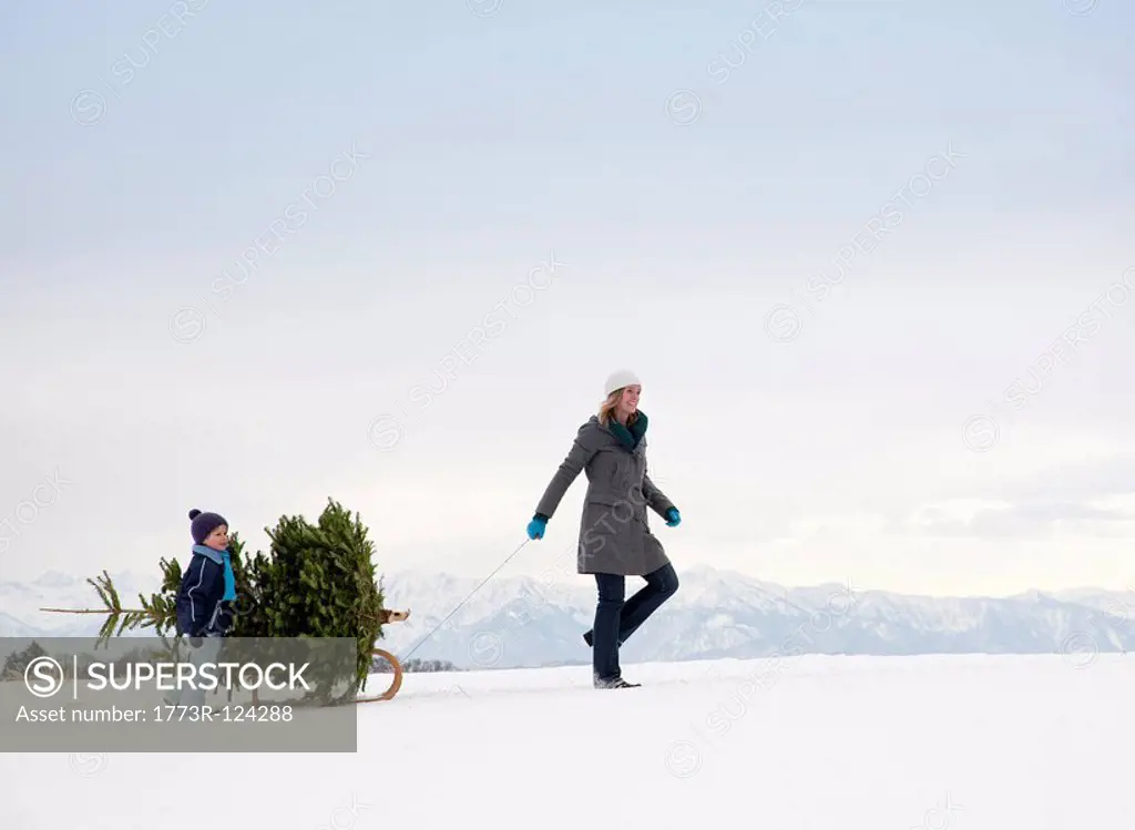 Mother and son carrying christmas tree