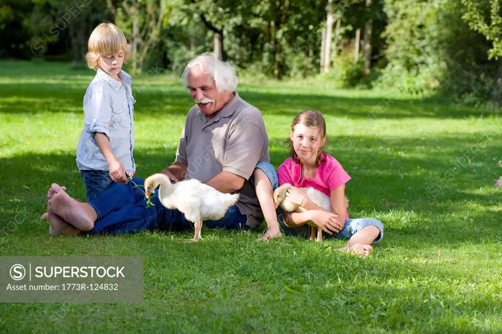 Grandfather and grandchildren with geese