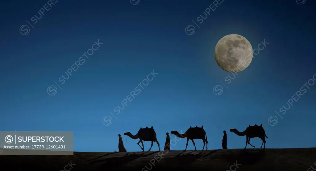 Camel caravan with night sky and full moon, Dubai, United Arab Emirates