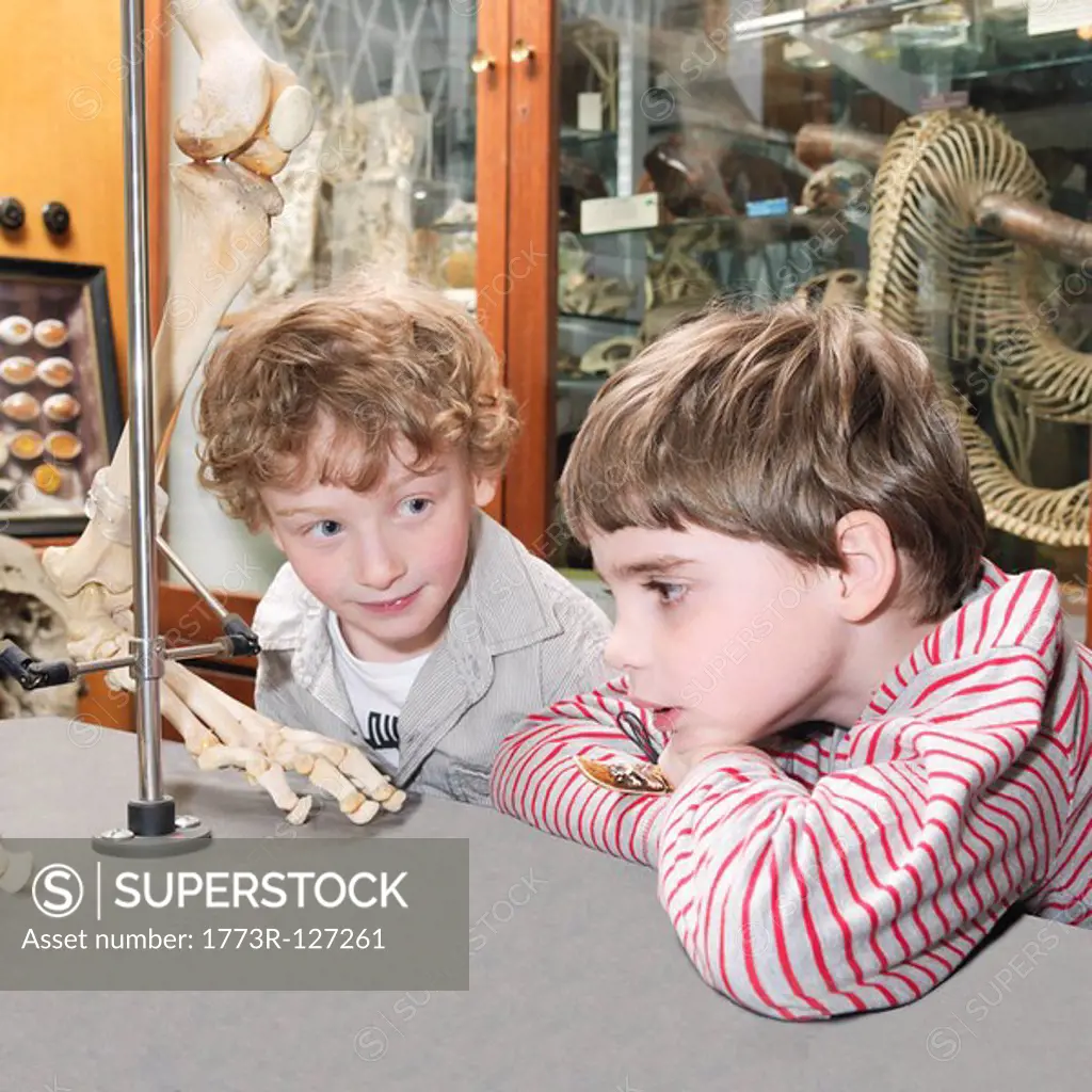 Boys looking at artifact in museum
