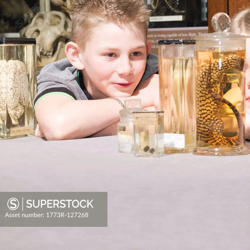 Boy looking at animals in jars