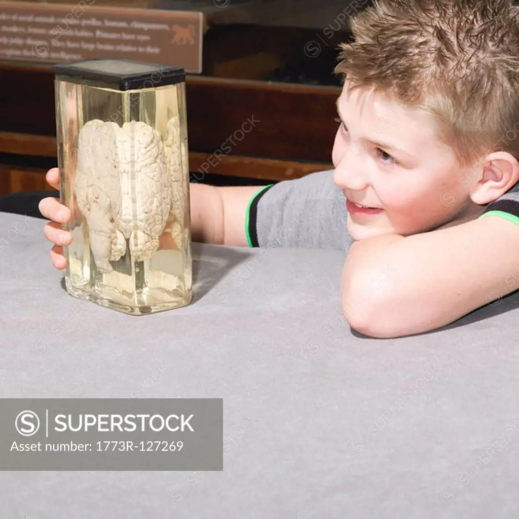 Boy looking at jar containing a brain