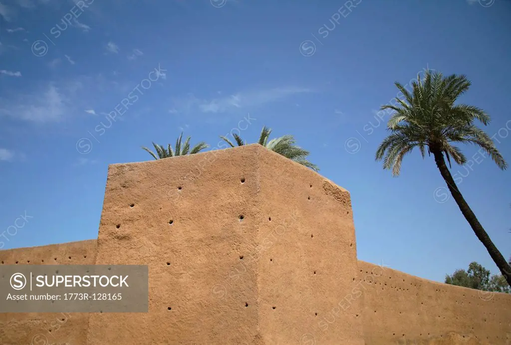 Old city walls and palm trees