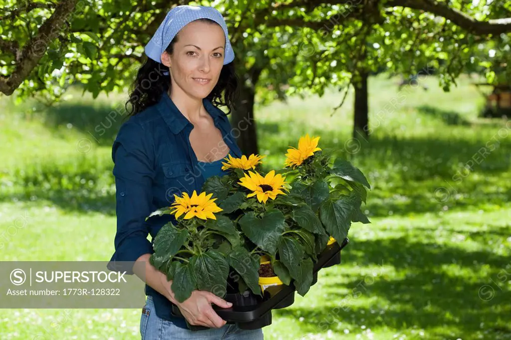Woman with sunflowers in garden