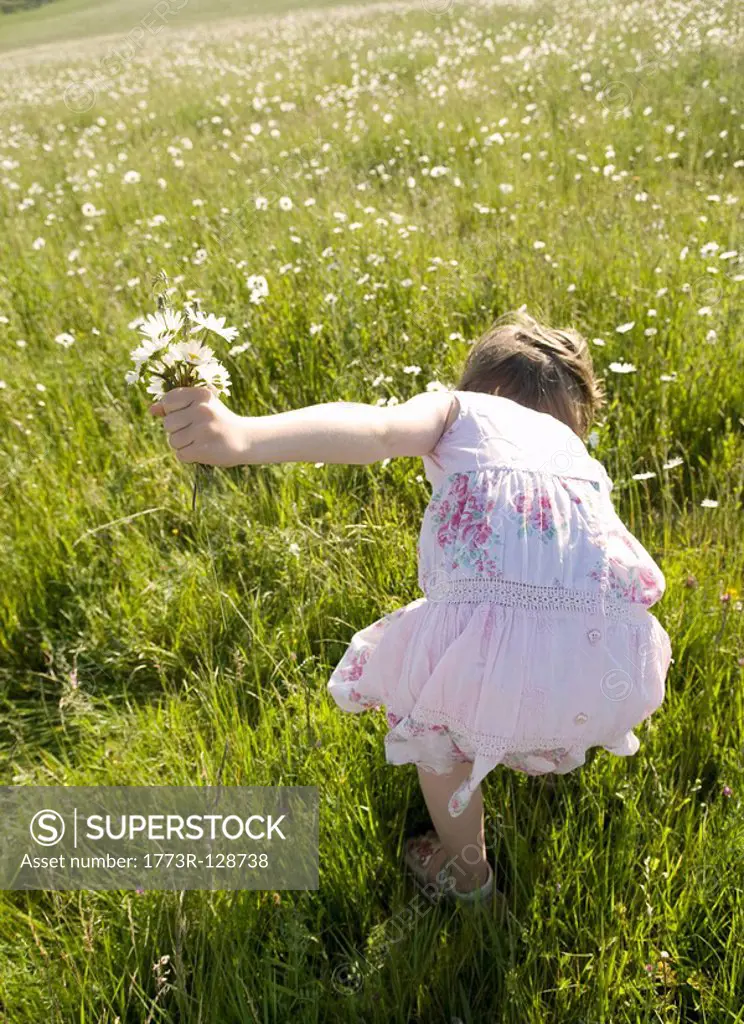 Girl picks wild flowers in meadow