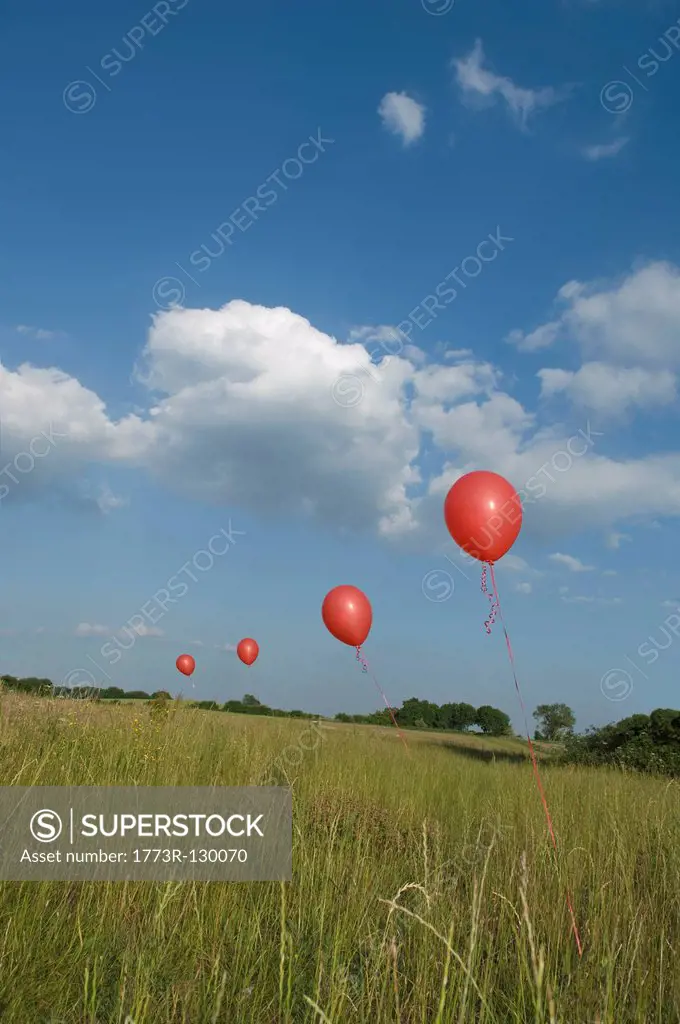 Red balloons in field