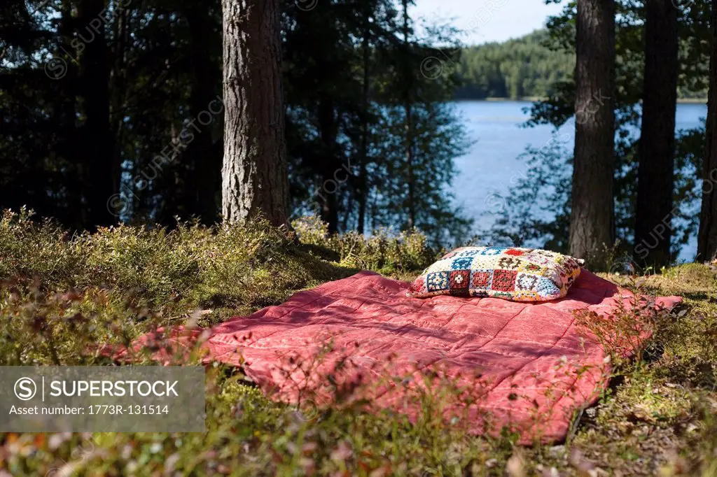 Bed in forest by lake