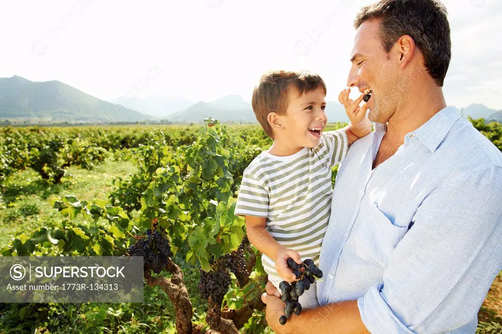 Young boy feeding father grapes