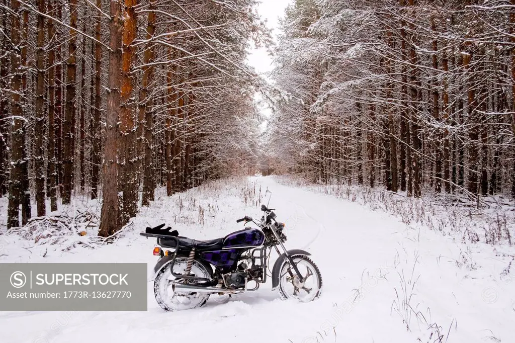 Motorbike parked in snowy forest