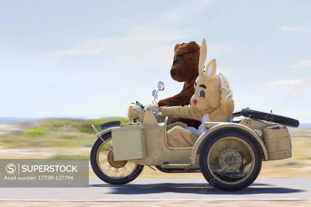 Bear and bunny riding a motorbike