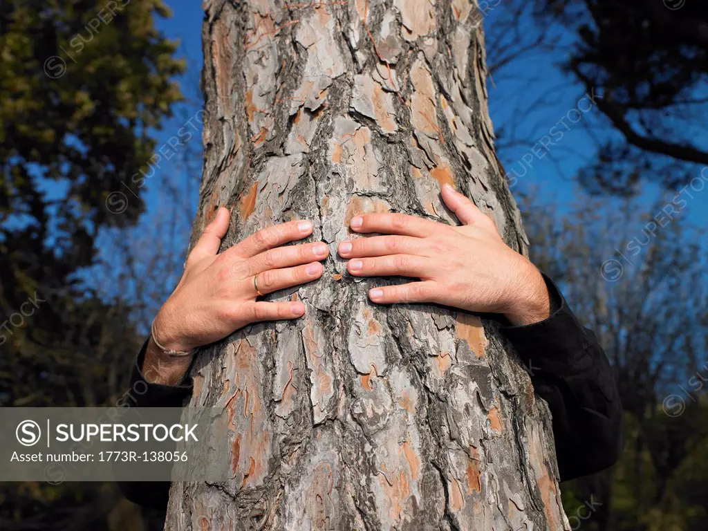 Man hugging a tree