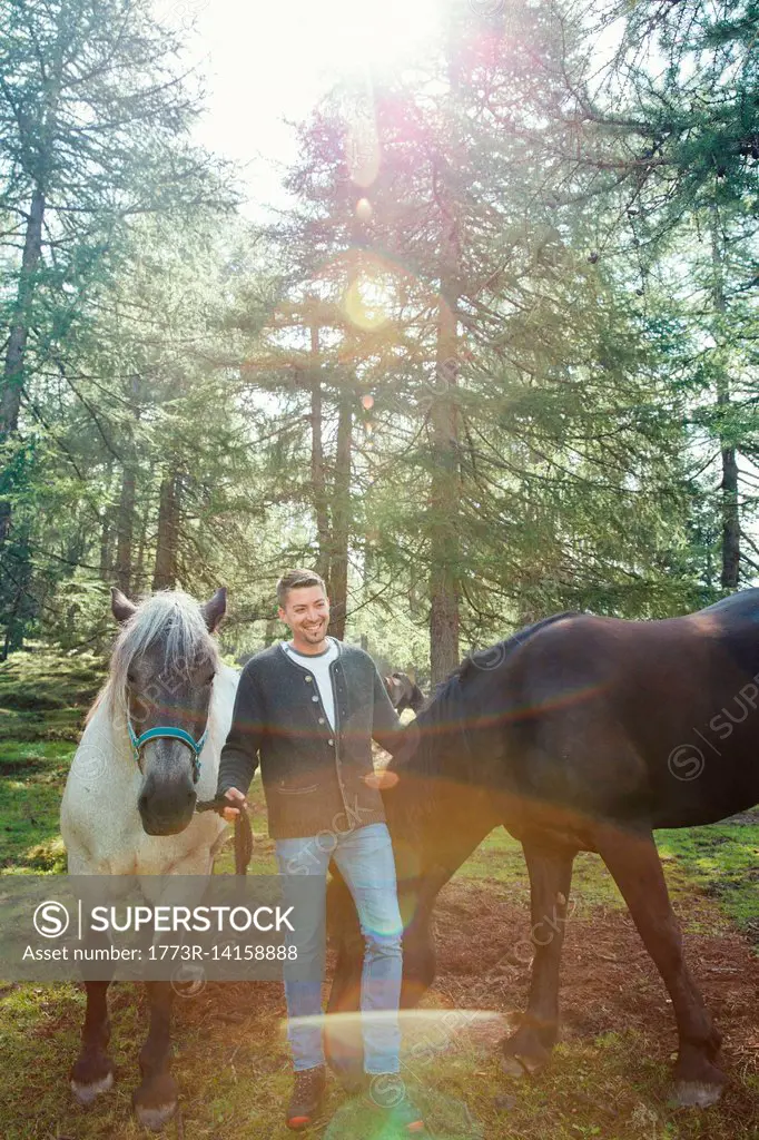 Man with horses in woodland, Tirol, Steiermark, Austria, Europe