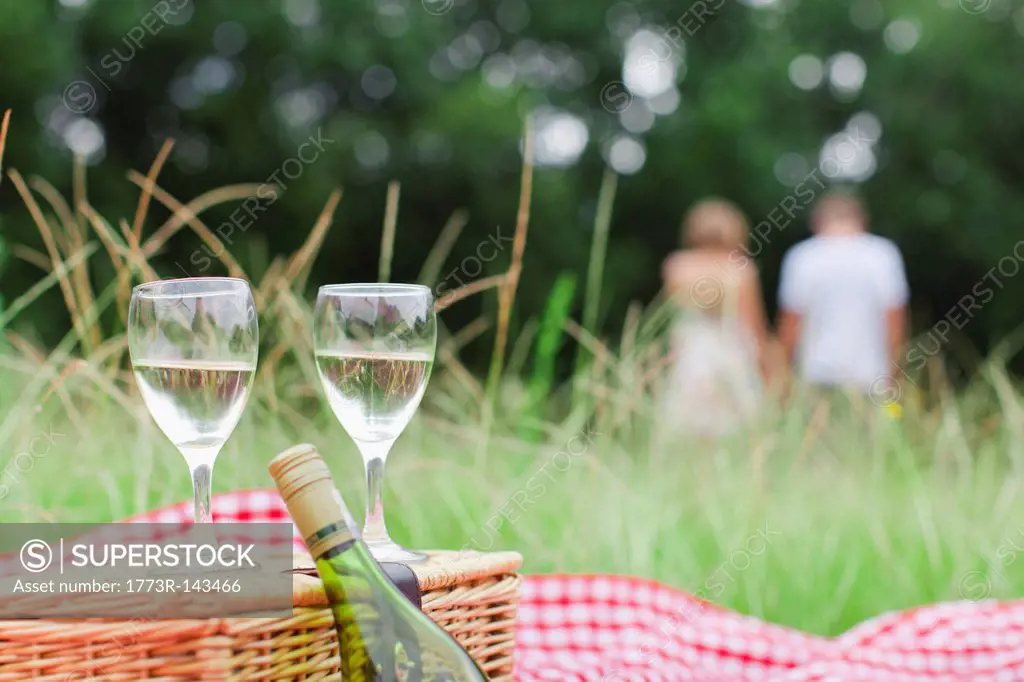 Glasses of wine at picnic