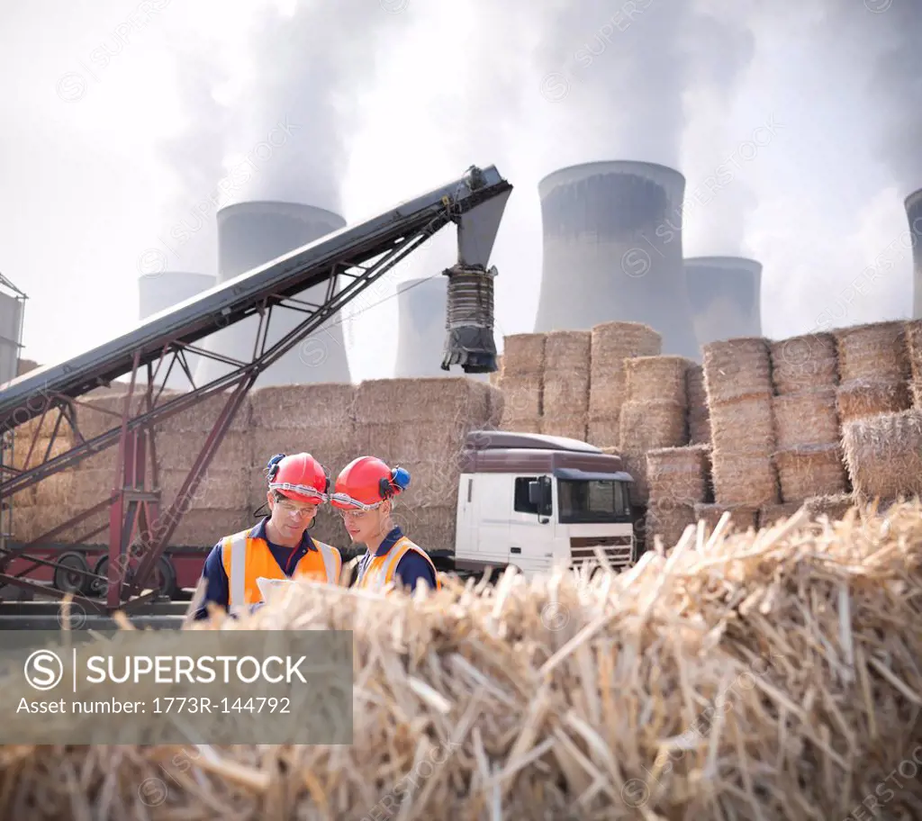 Workers in biomass fuel facility