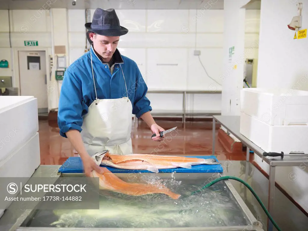 Worker filleting salmon in plant