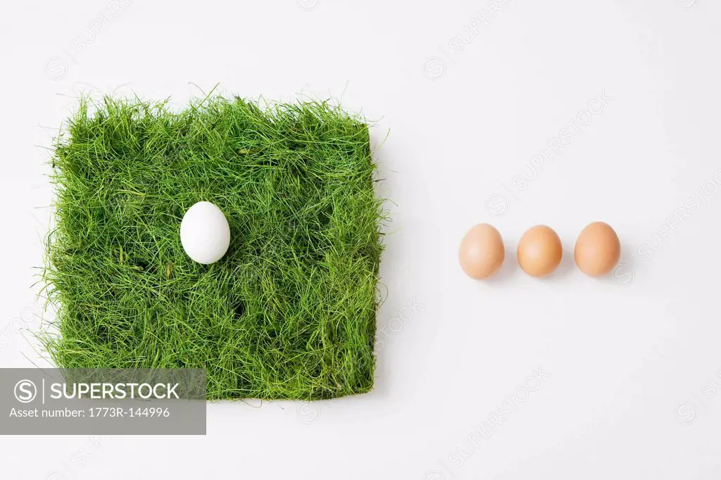 Eggs with patch of grass