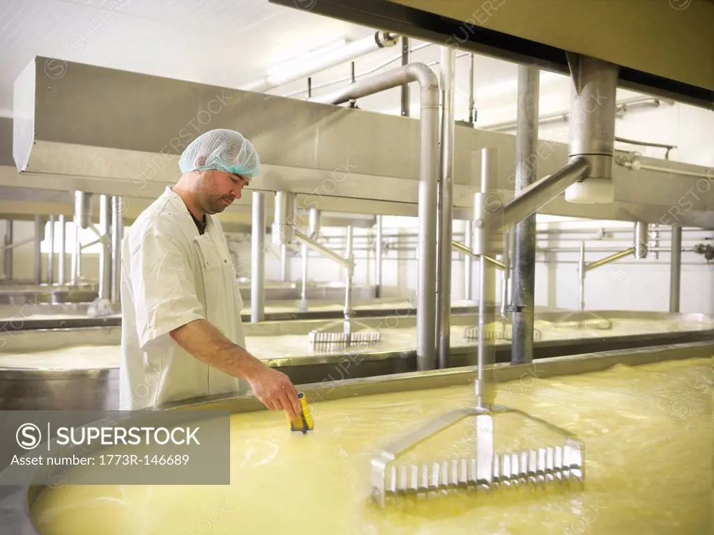 Worker checking milk in cheese factory