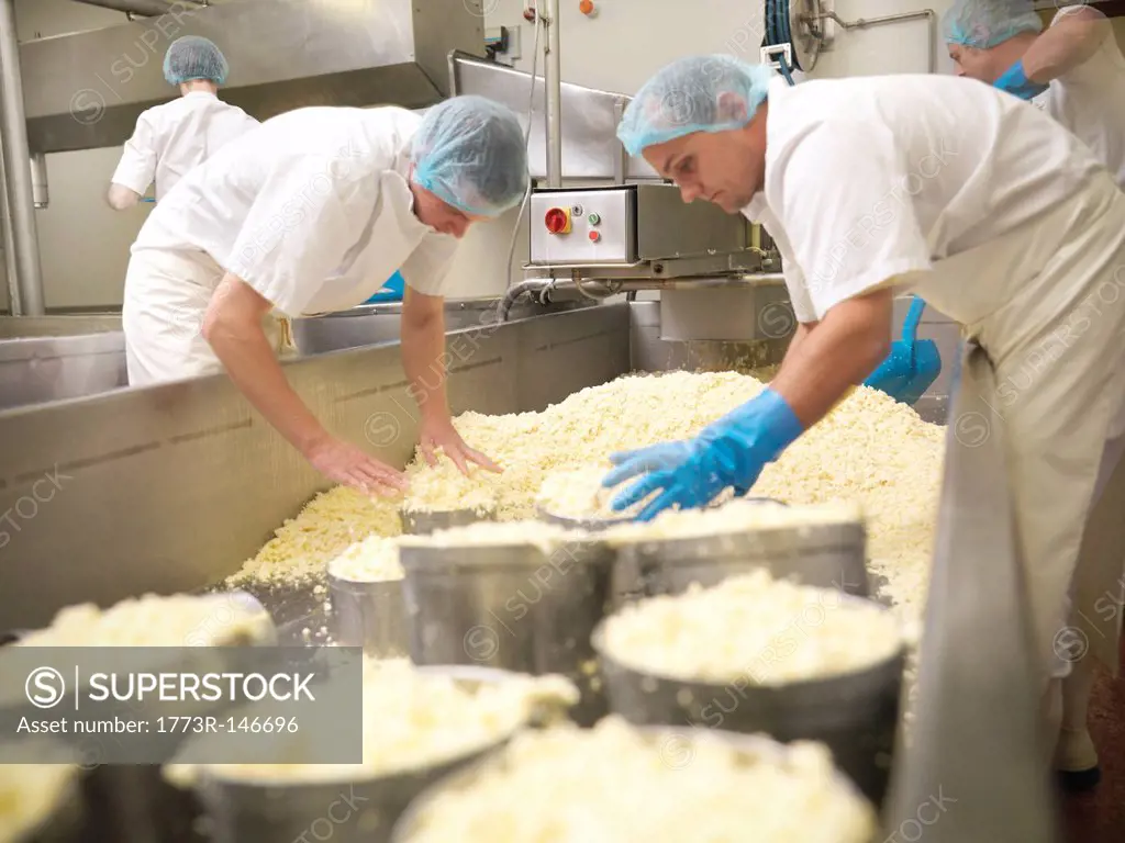 Workers packing cheese in factory
