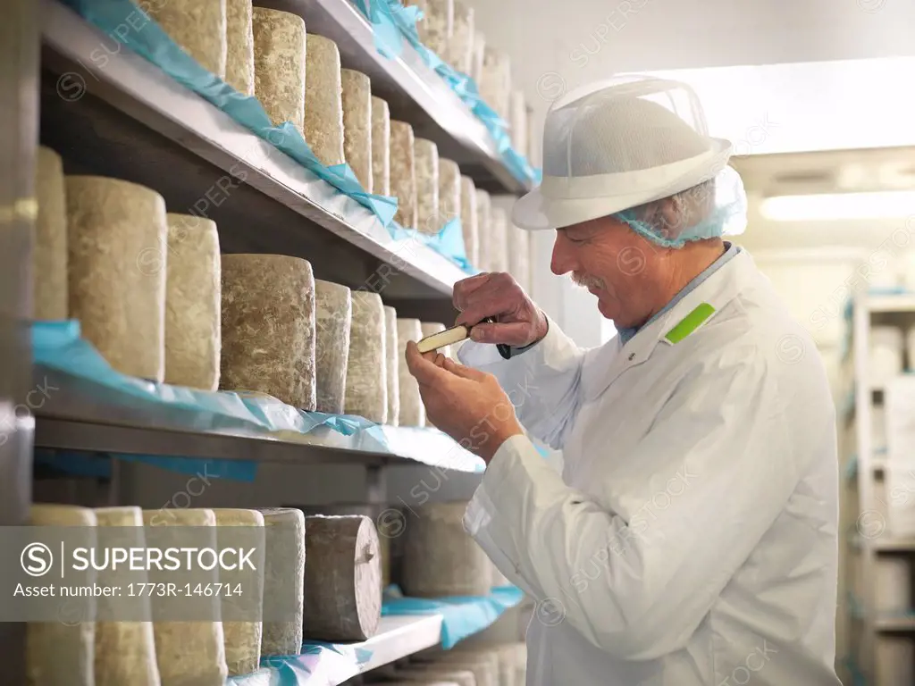Worker checking blue cheese in factory