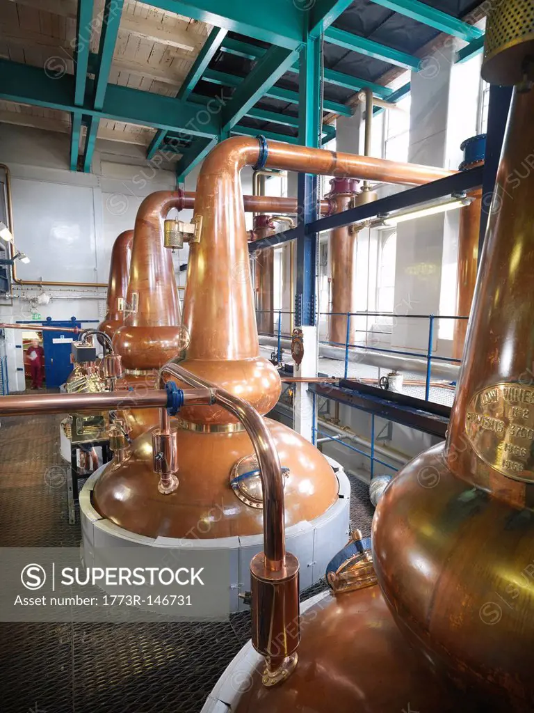 Whisky stills in distillery