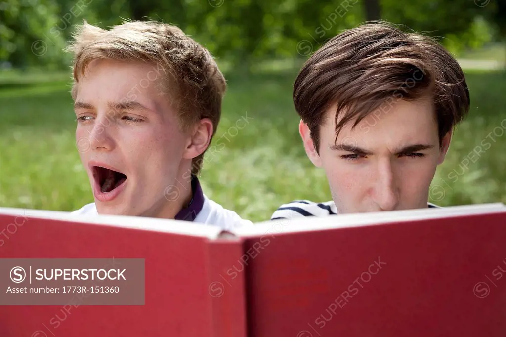 Teenage boys reading in park
