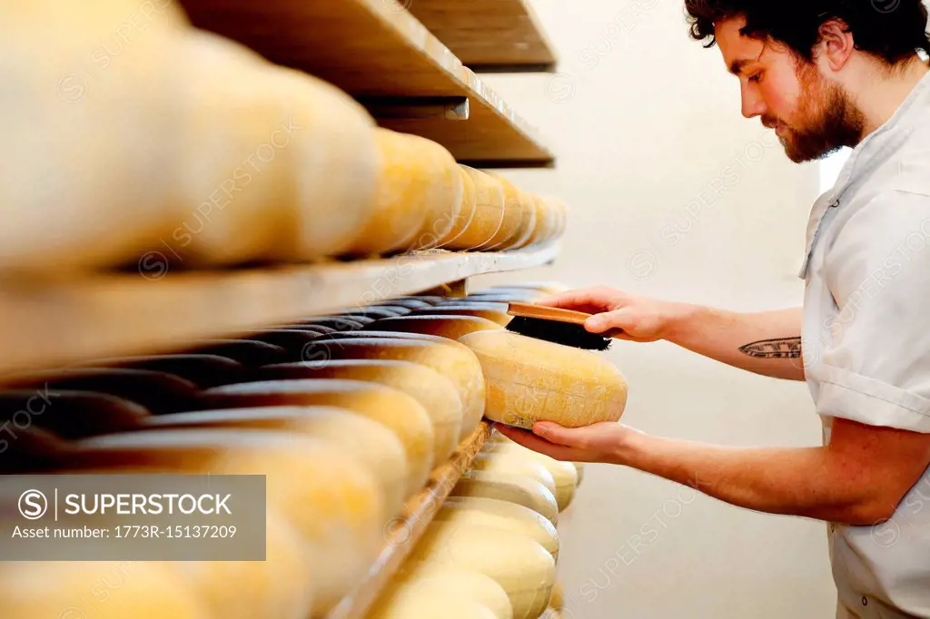 Cheese maker brushing mould off the hard cheeses by hand