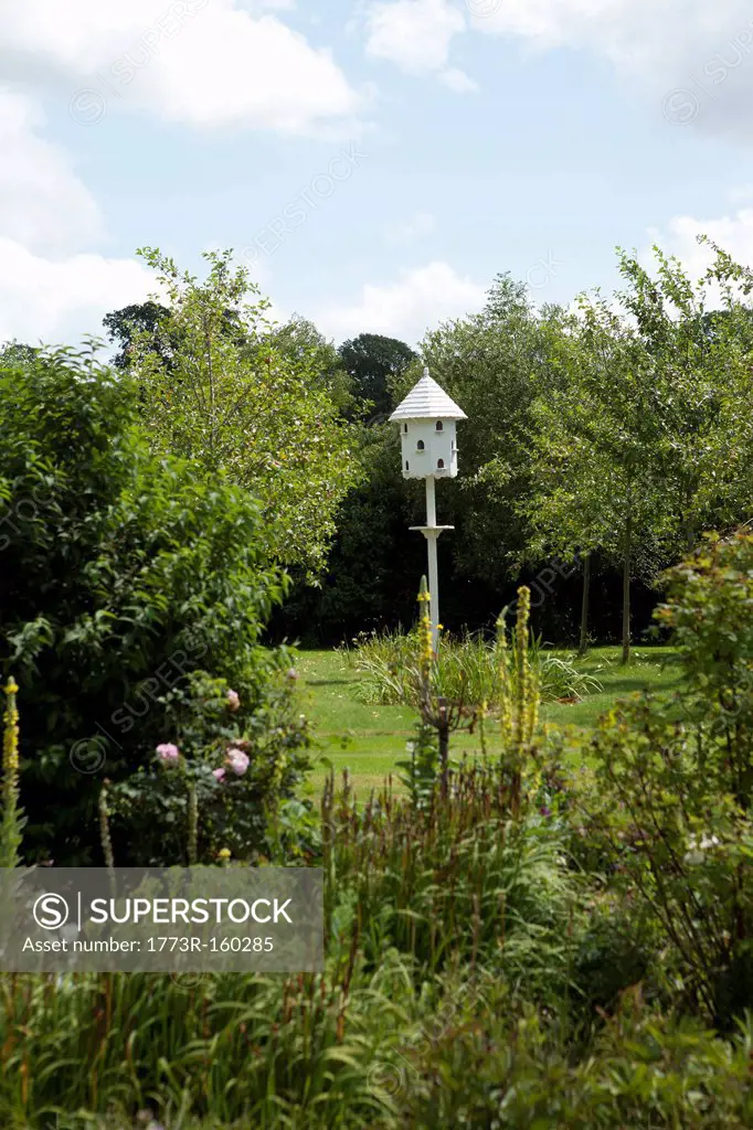 White birdhouse in lush garden