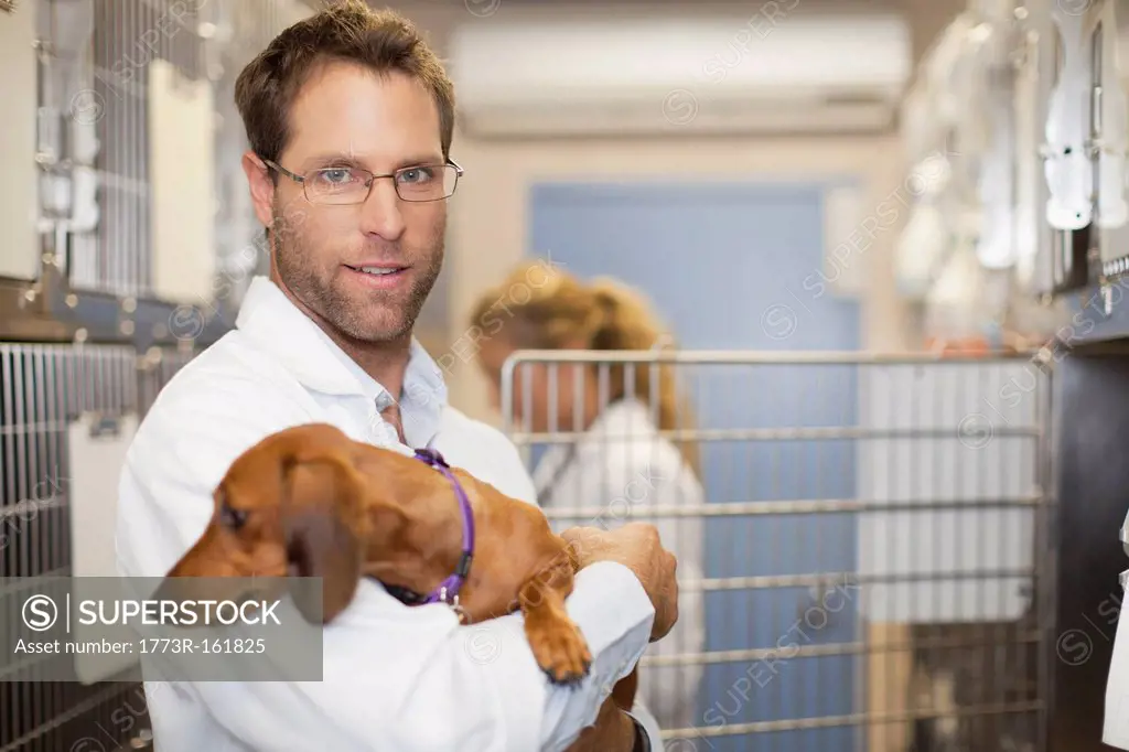 Veterinarian holding dog in kennel