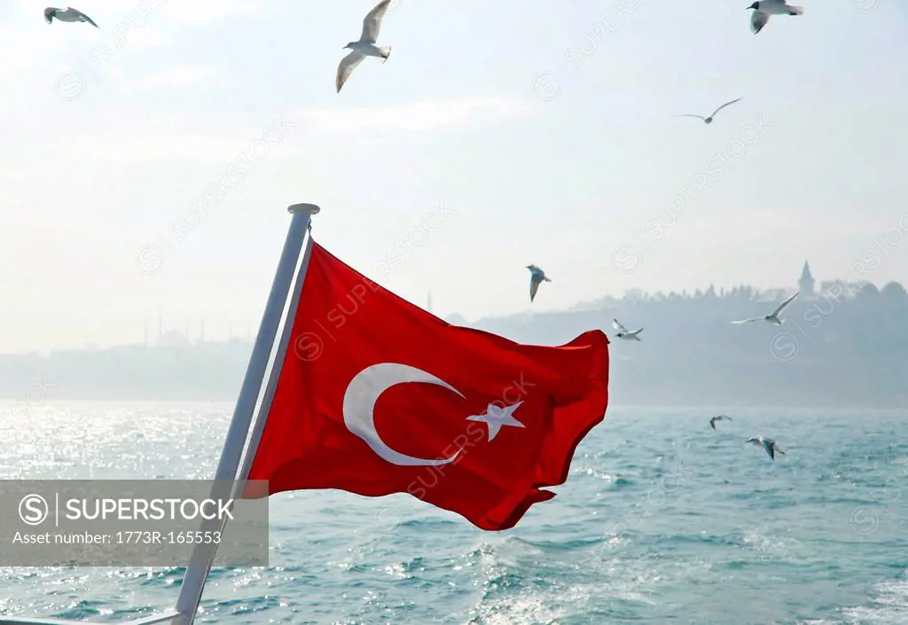 Seagulls flying over Turkey flag