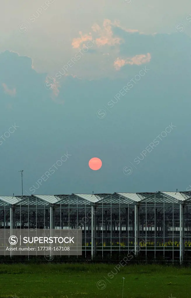Greenhouses under sunset sky