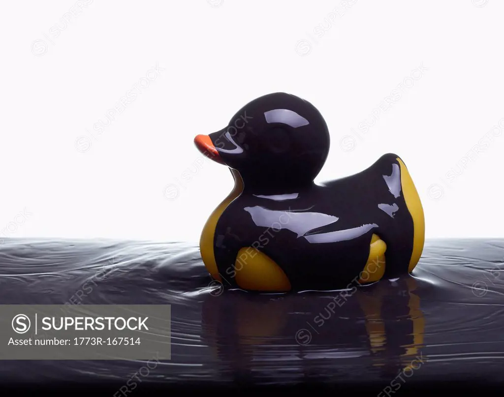 Rubber duck covered in oil