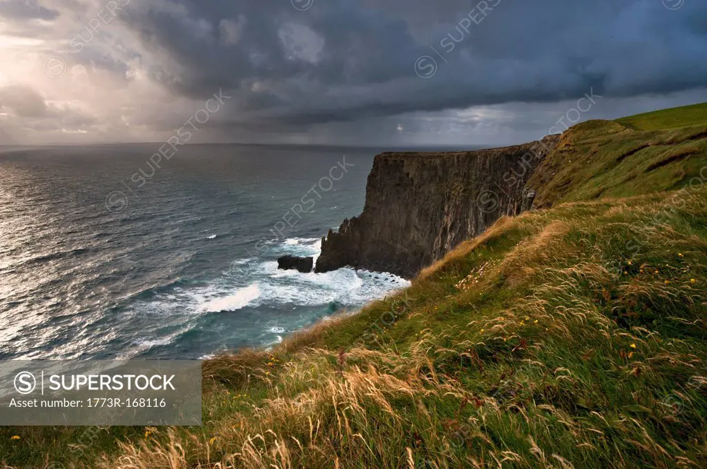Tall grass growing on coastal cliffs