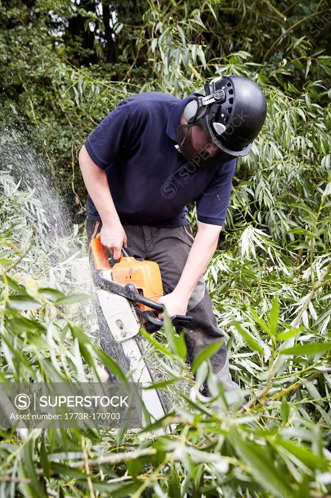 Worker using chainsaw in forest